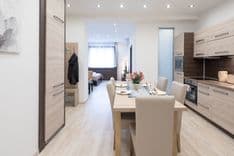 Renovated Apartment on Molnár St. With AIRBNB License